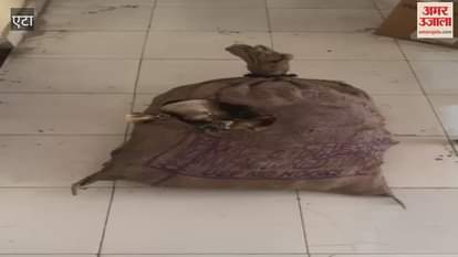 VIDEO : A sack full of brass bells was found in the field, police is expressing this suspicion