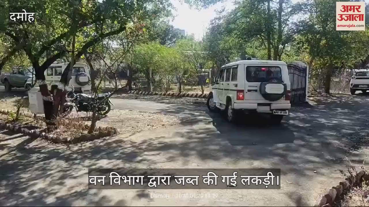 Damoh Forest department recovered illegal teak worth lakhs of rupees from ruins and drain in Amchopara village