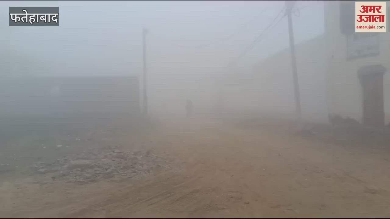 VIDEO : Fog in Fatehabad