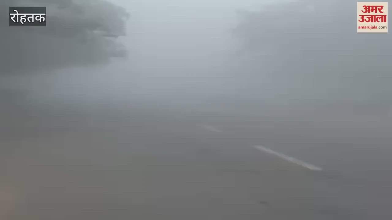 VIDEO : Fog in Rohtak