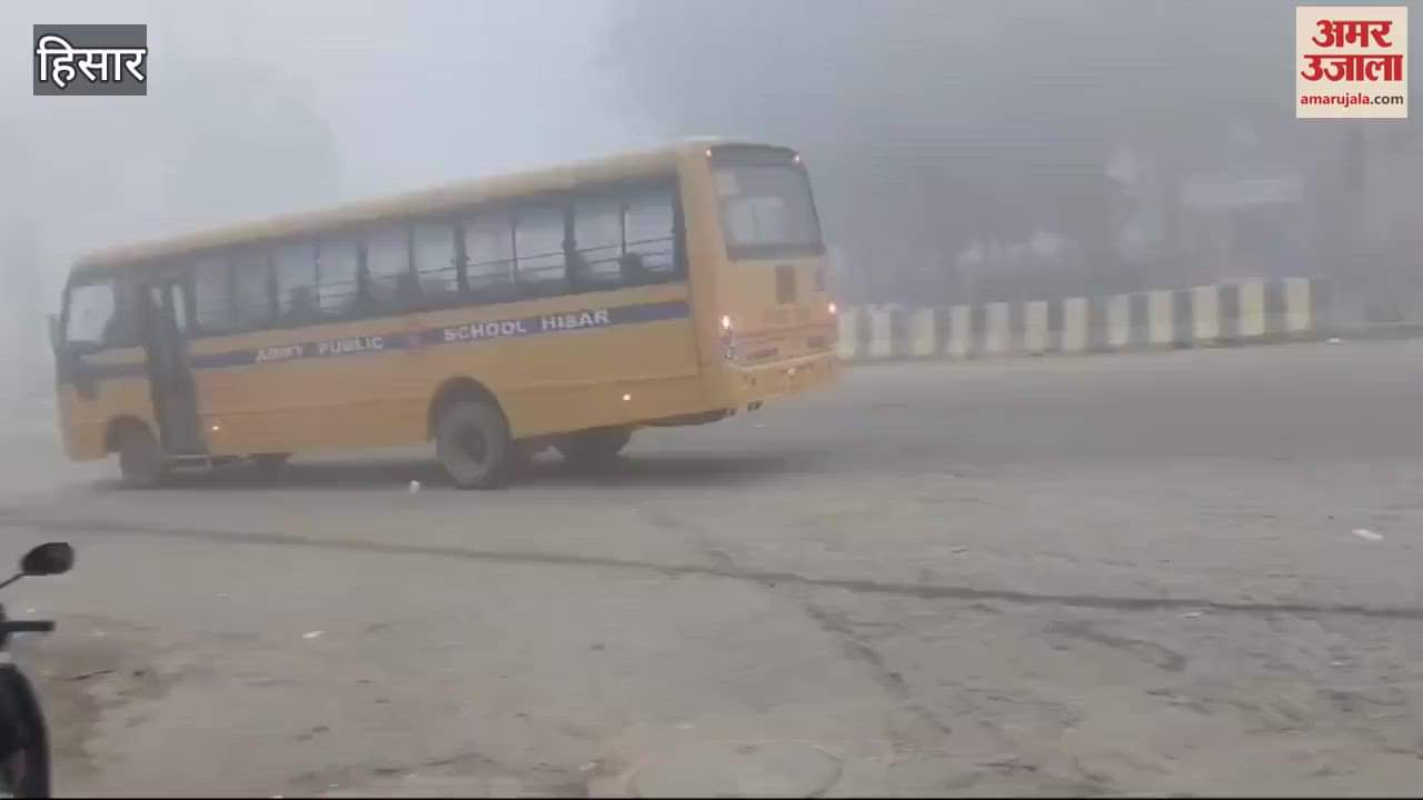 VIDEO : Fog in Hisar