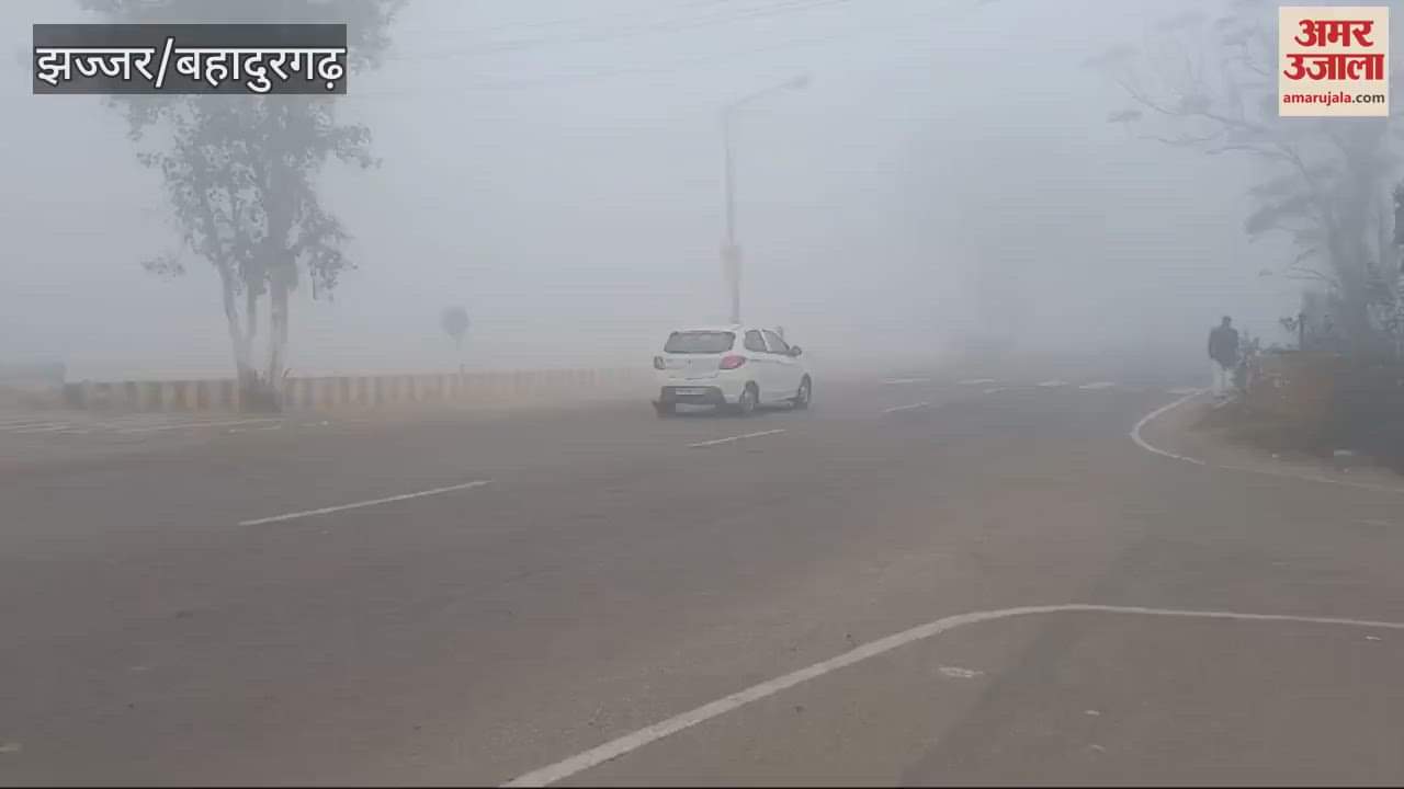 VIDEO : Fog and Sunlight in Jhajjar