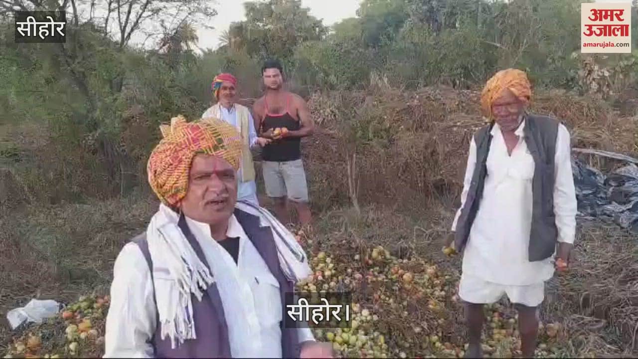 Sehore News: Tomatoes being auctioned at Rs 2 in the market, farmers are worried