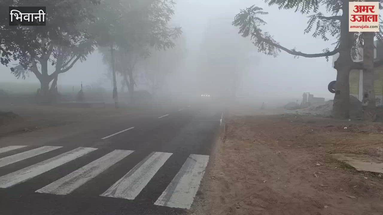 VIDEO : Fog covered Bhiwani after 15 days, visibility was less than 20 meters, crops will benefit