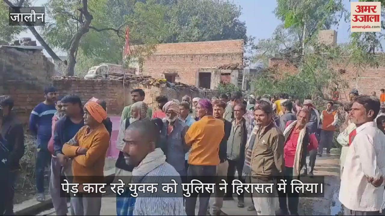 VIDEO : जालौन में टूटे पोल के नीचे दबकर किशोरी की मौत, बिजली के तार के ऊपर पेड़ गिरने से हुआ हादसा