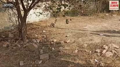 VIDEO : Iron gate fell in upper primary composite school, five innocent children buried under the debris