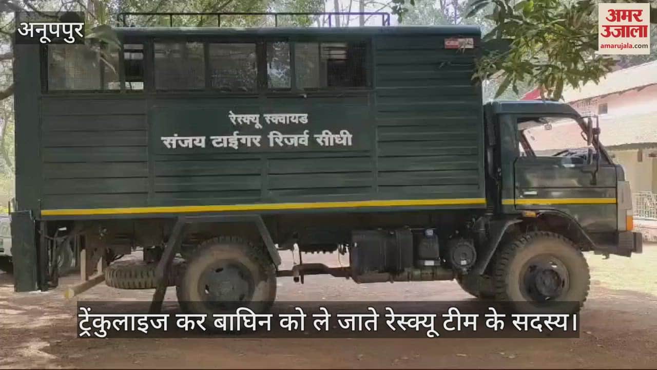 Anuppur News tigress spreading terror in Amarkantak was rescued and sent to Sanjay Tiger Reserve