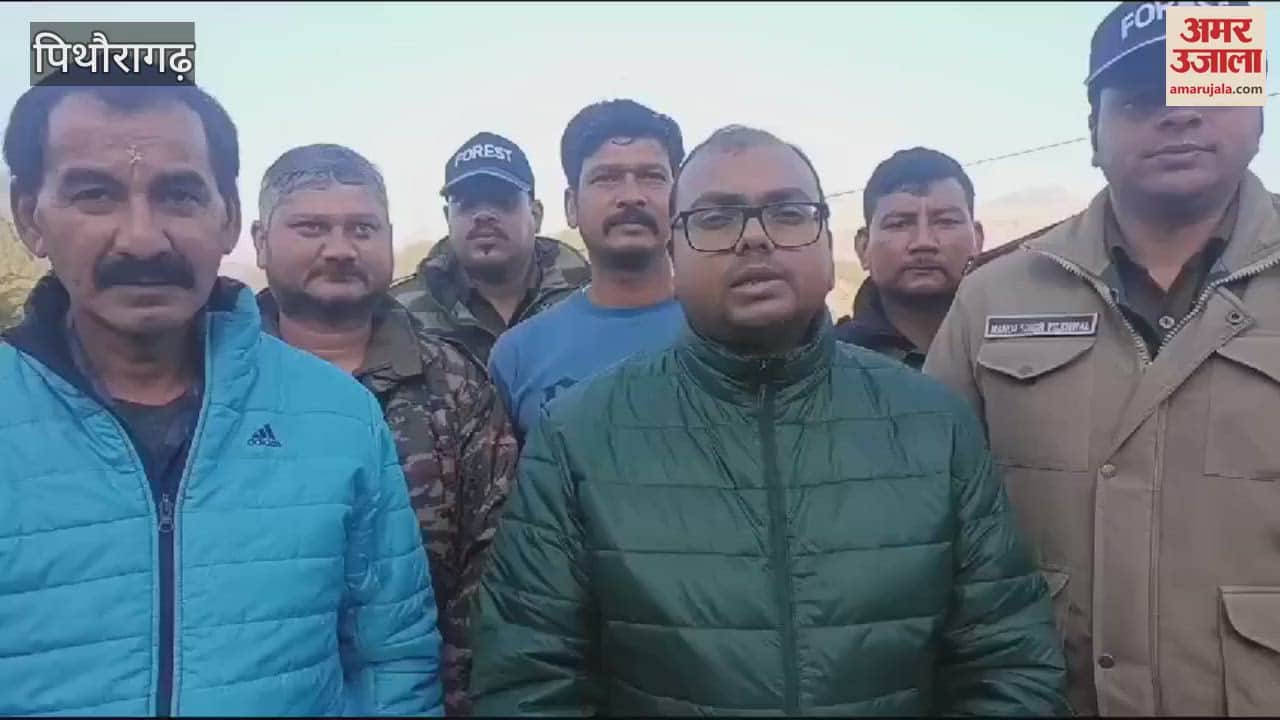 VIDEO : पिथौरागढ़ में तारबाड़ में फंसा तेंदुआ, वन विभाग की टीम ने किया रेस्क्यू