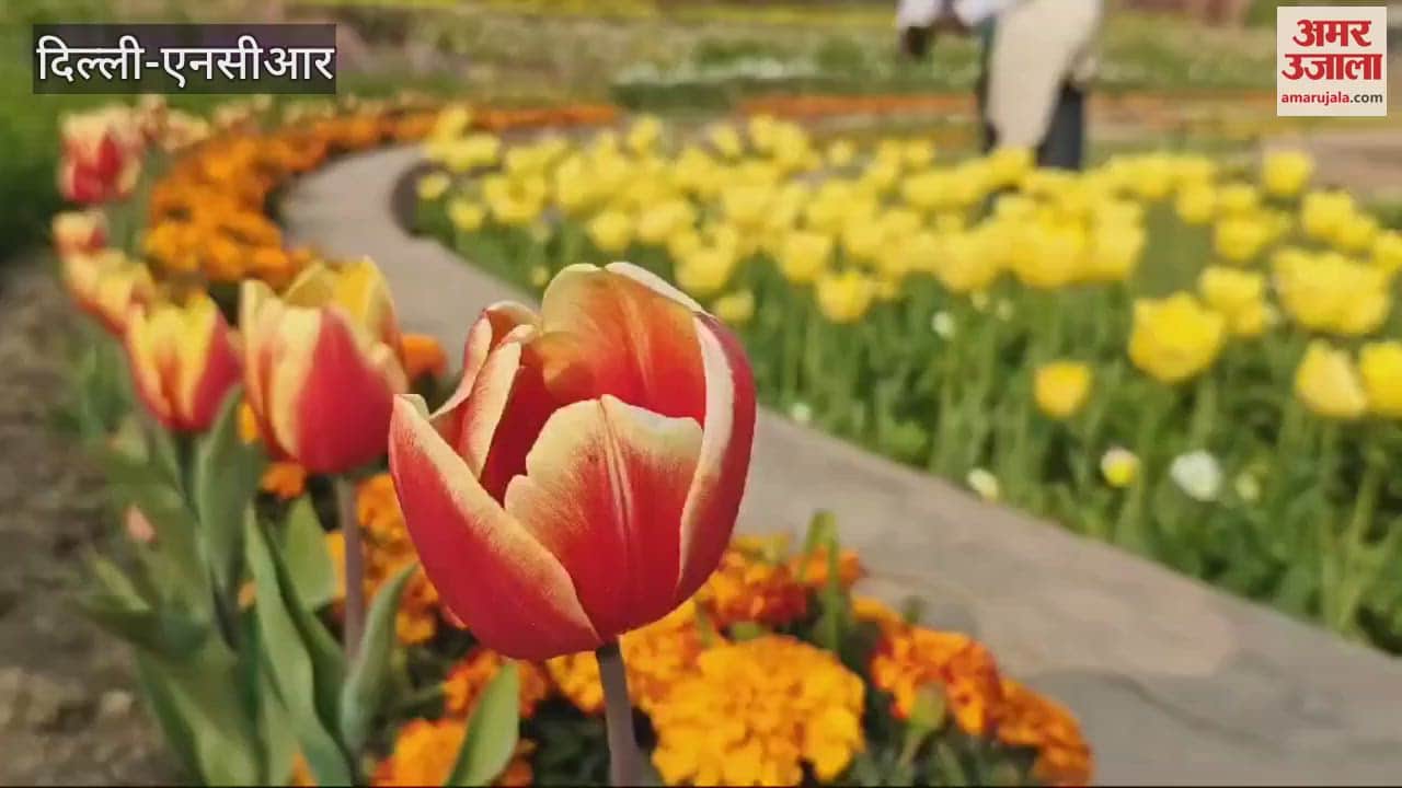 VIDEO : Amrit Udyan of Rashtrapati Bhavan is opening in Delhi from February 2
