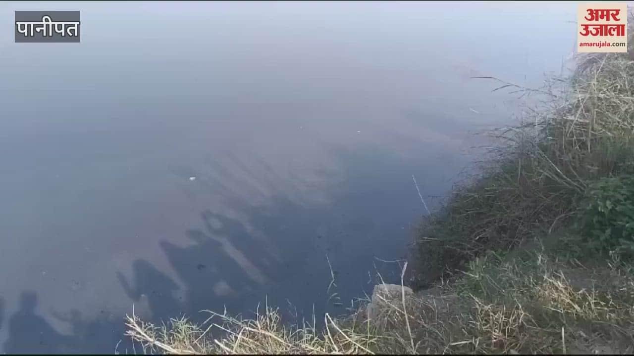 VIDEO : पानीपत में भाजपा के बाद आप नेता पहुंचे यमुना, दिखाया केमिकल युक्त पानी