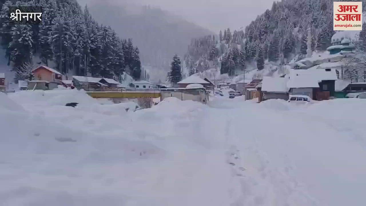 VIDEO : Fresh snowfall affects normal life in Gurez, Bandipora-Gurez road closed for traffic