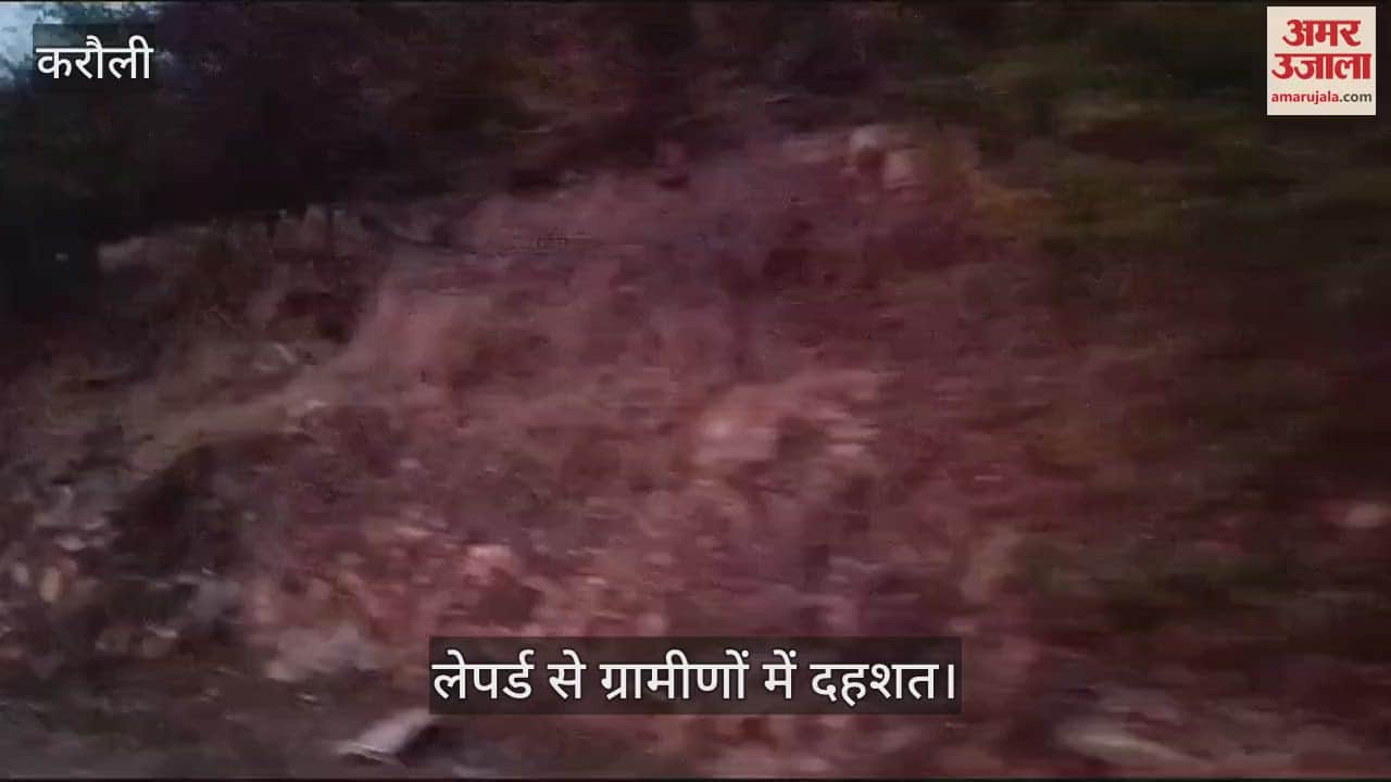 Karauli : An atmosphere of panic due to panther's movement, villagers accused forest department of negligence
