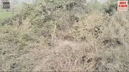 VIDEO : Uncontrolled roadways bus went off the road and fell into a ditch passengers narrowly escaped