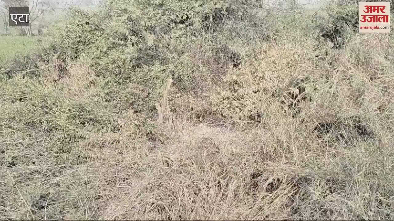 VIDEO : Uncontrolled roadways bus went off the road and fell into a ditch passengers narrowly escaped