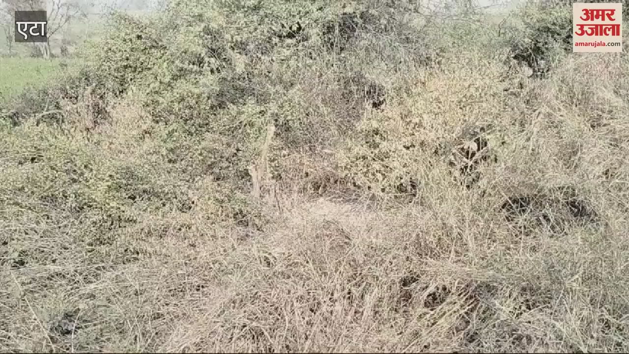 VIDEO : Uncontrolled roadways bus went off the road and fell into a ditch passengers narrowly escaped