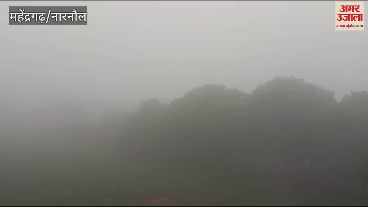 VIDEO : Fog in Narnaul