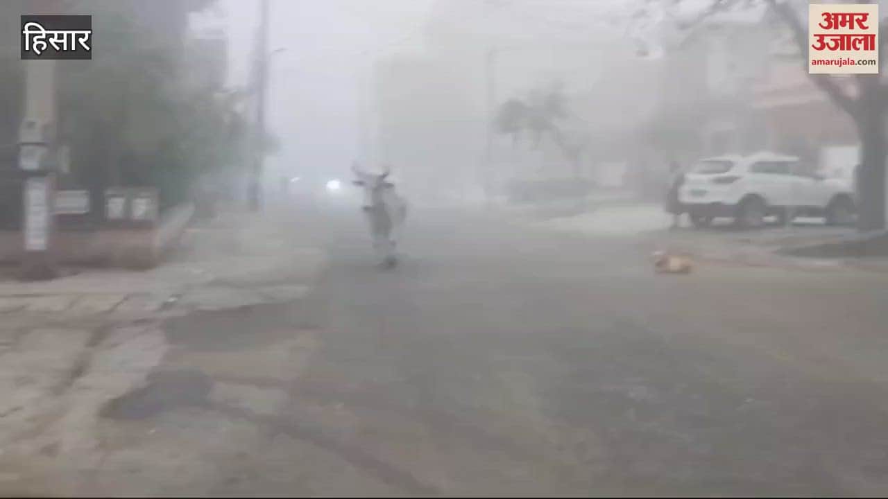 VIDEO : Fog in Hisar