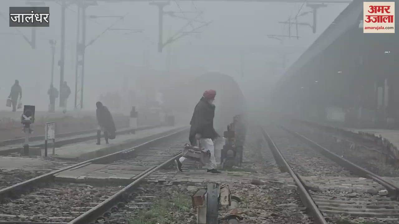VIDEO : Fog in Jalandhar