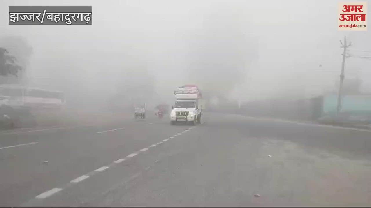 VIDEO : Fog in Jhajjar