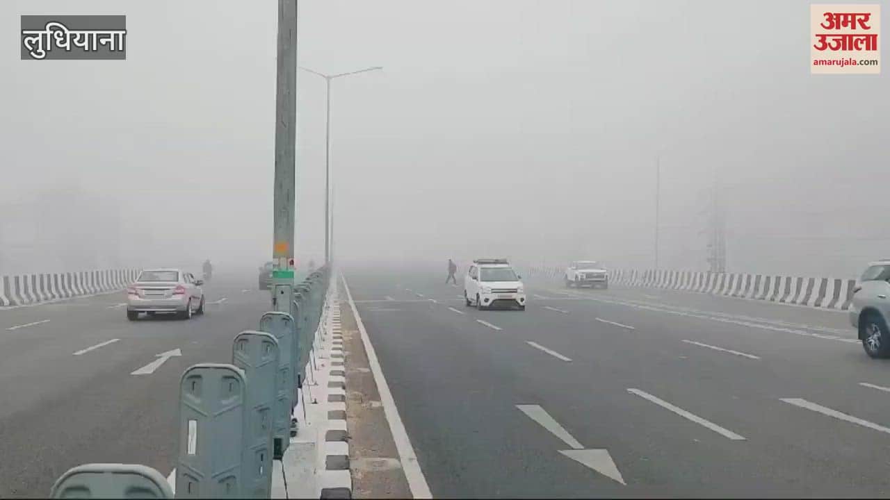 VIDEO : fog in Ludhiana