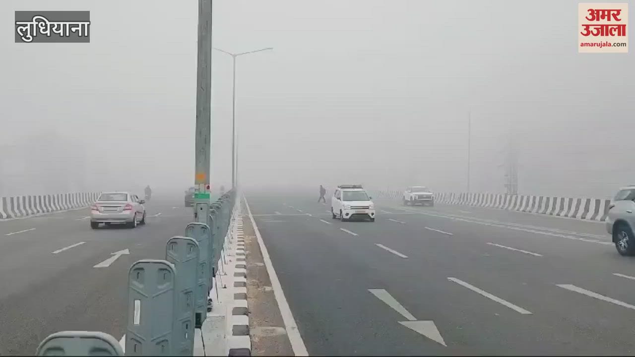 VIDEO : fog in Ludhiana