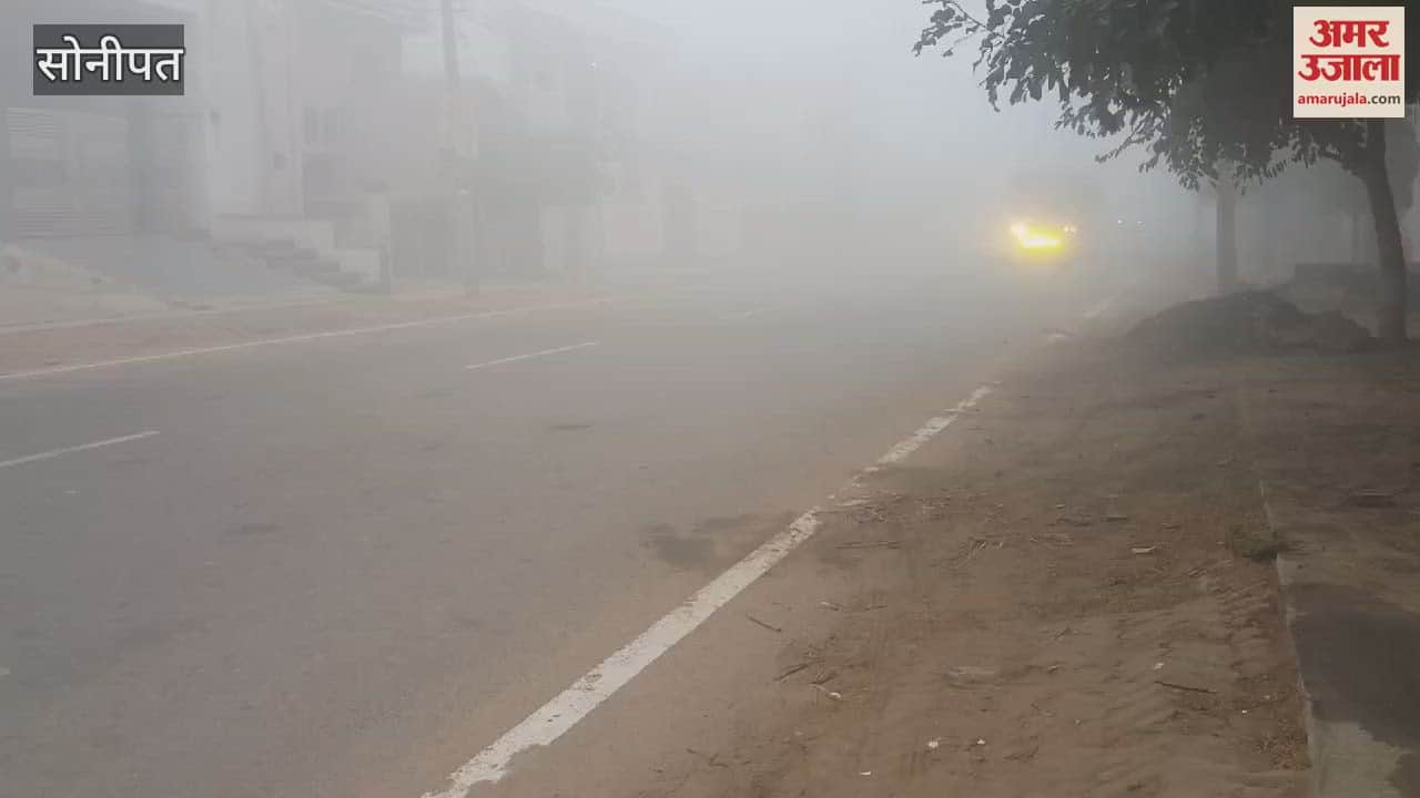 VIDEO : Fog in Sonipat