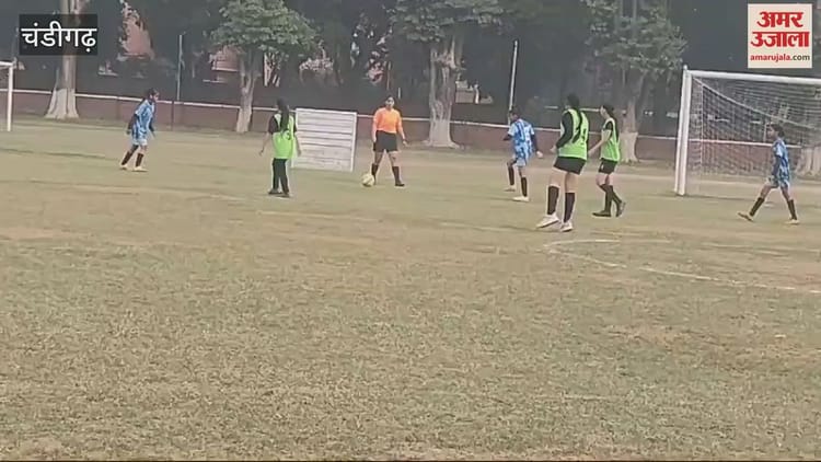 Video : Football League Matches Organized At Sports Complex, Sector 46, Chandigarh – Amar Ujala Hindi News Live