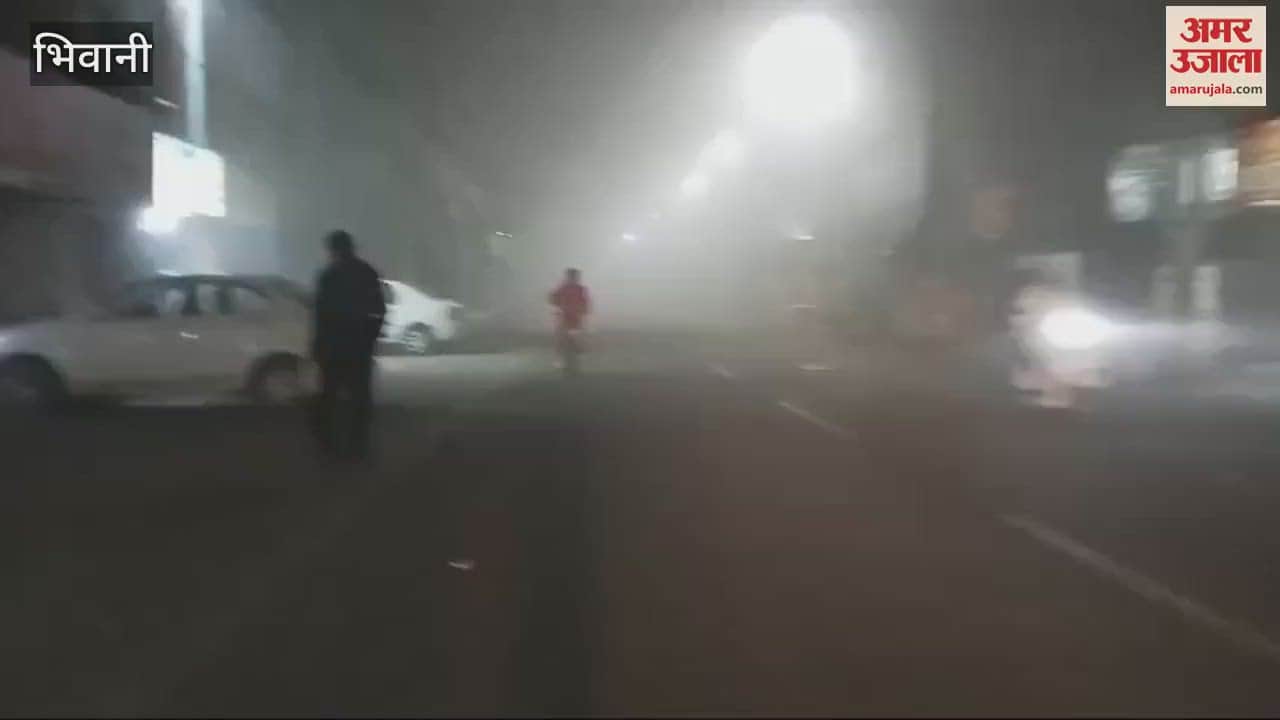 VIDEO : Fog in Bhiwani, visibility less than 10 meters in morning