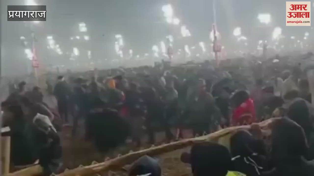 VIDEO : Mahakumbh Stampede 23 lives were lost in 12 seconds on Mauni Amavasya