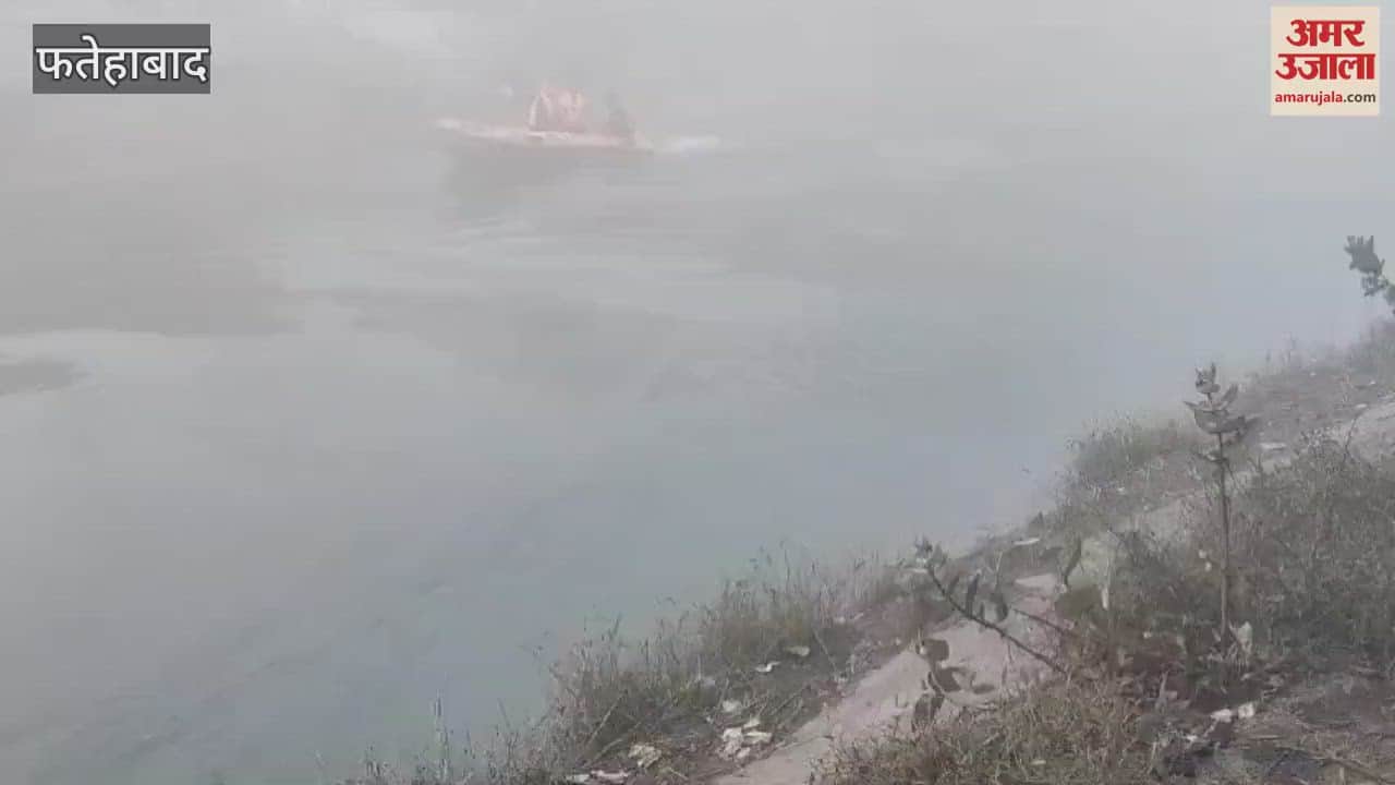 VIDEO : Fatehabad cruiser car accident: NDRF search operation continues, five bodies including two women and two children recovered