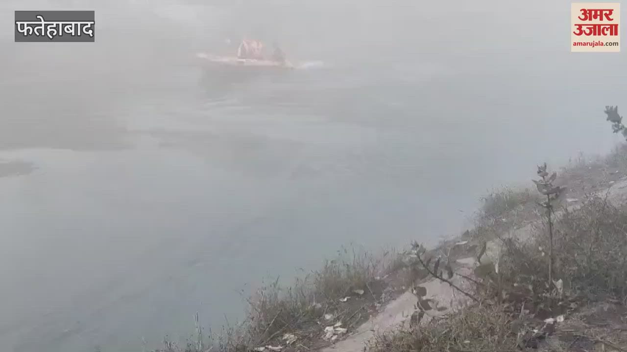VIDEO : Fatehabad cruiser car accident: NDRF search operation continues, five bodies including two women and two children recovered