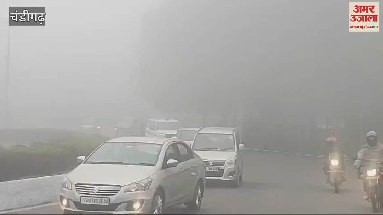 VIDEO : Fog in Chandigarh