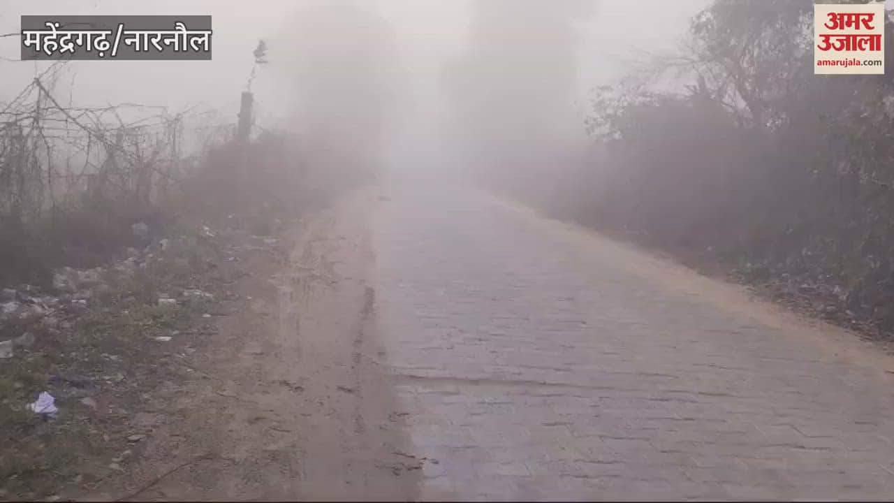 VIDEO : Fog in Mahendragarh