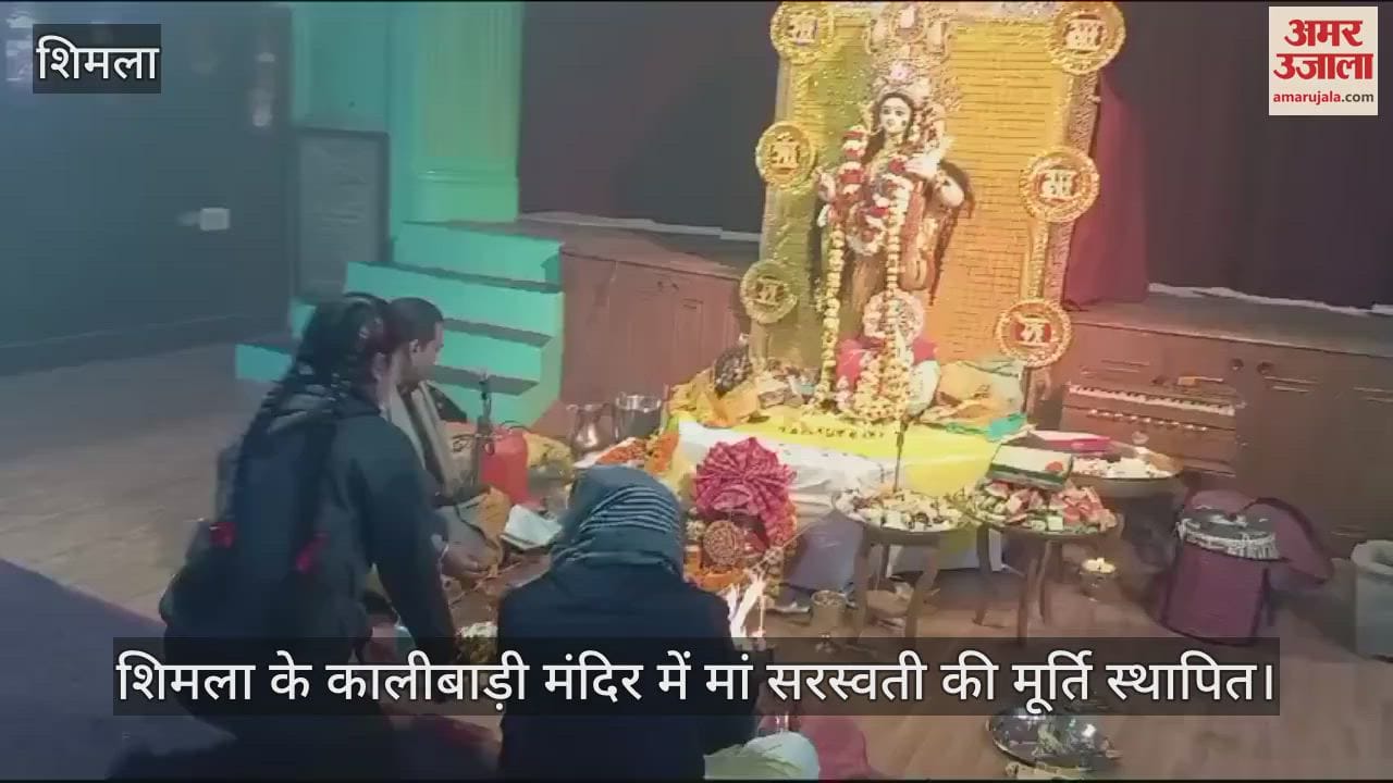 VIDEO : The idol of Maa Saraswati was installed in Kalibari temple of Shimla