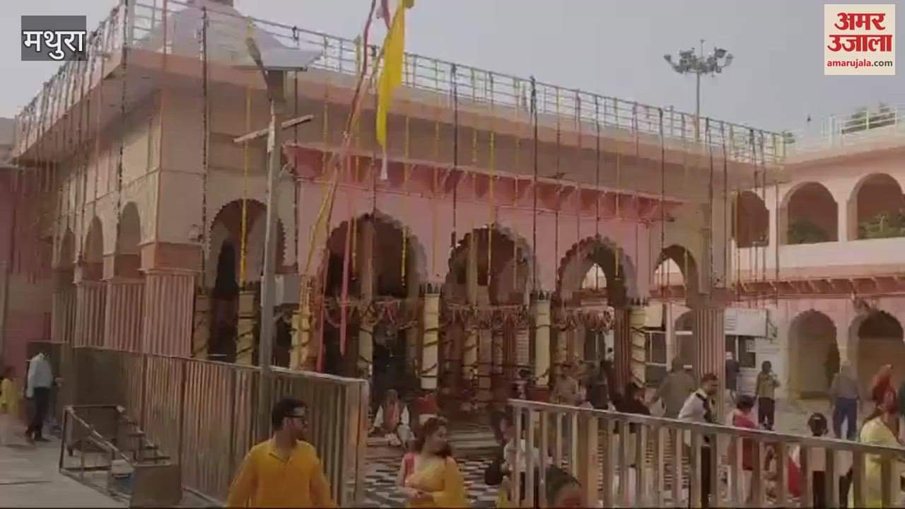 VIDEO : Color of faith showered in Dauji temple enthusiasm of Holi spread in Braj