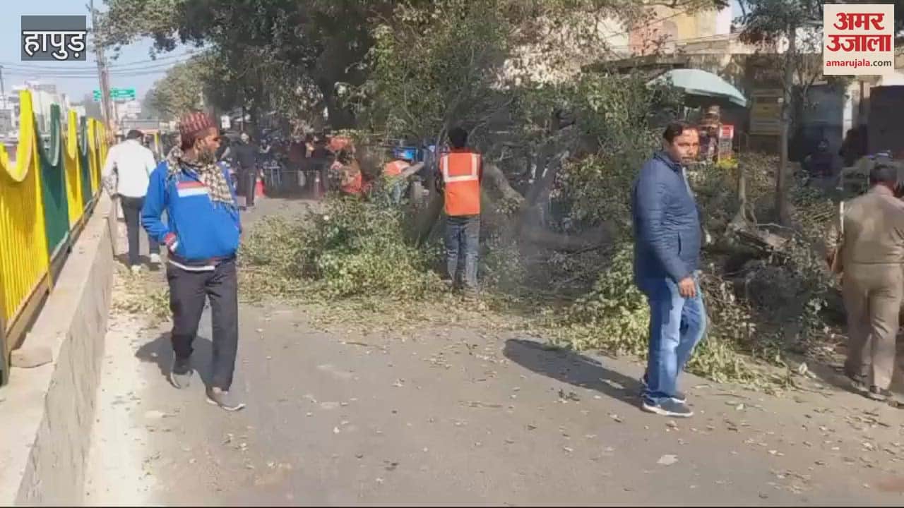 VIDEO : Public Works Department cut 18 trees for widening of Bulandshahr Road In Hapur