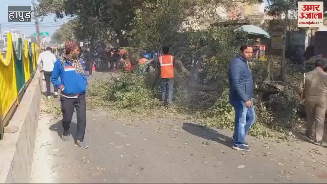VIDEO : Public Works Department cut 18 trees for widening of Bulandshahr Road In Hapur