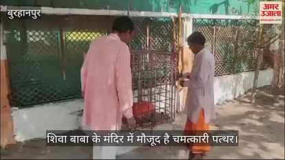 Burhanpur News There is such stone in Shiva Baba temple 11 people lift it in air just by pointing finger at it