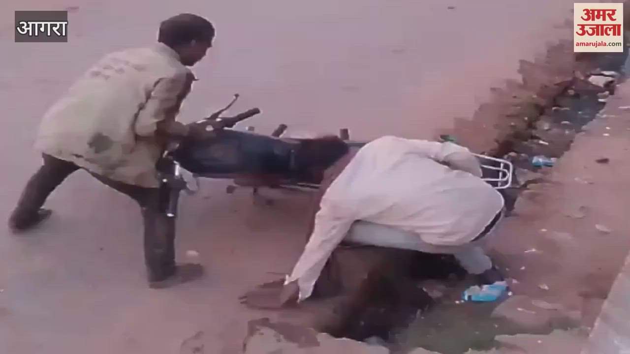 VIDEO : drunkards fell into drain 32 second viral video you will burst into laughter
