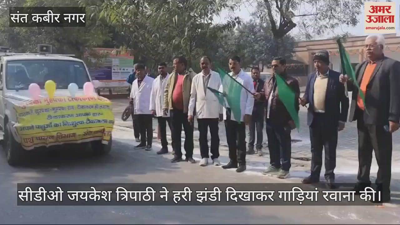 VIDEO : The team will reach home and vaccinate the animals.