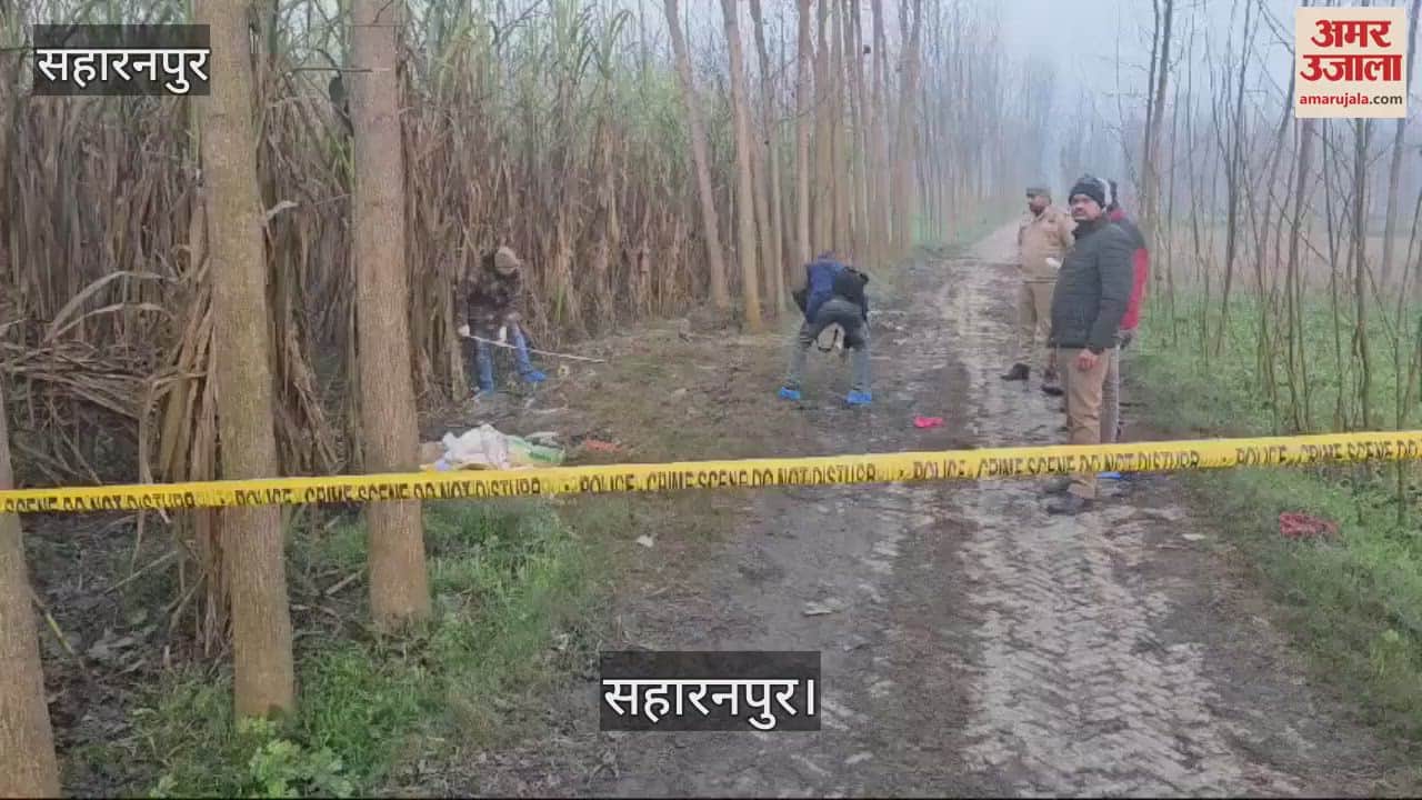 VIDEO : Accused of cow slaughter in Saharanpur injured in police encounter, live cattle and weapons recovered