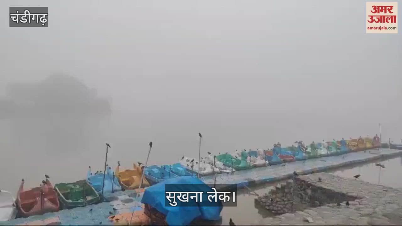VIDEO : चंडीगढ़ में सुबह छाई धुंध