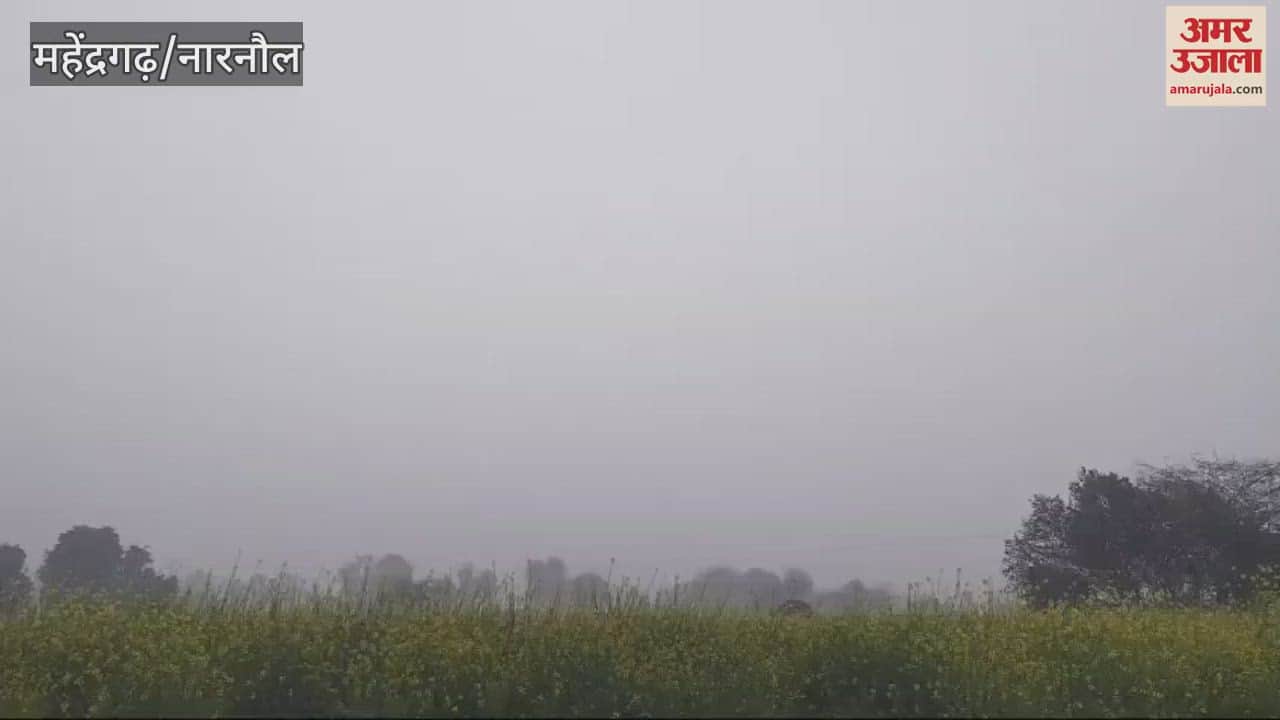 VIDEO : weather will remain variable in first fortnight of February in Mahendragarh