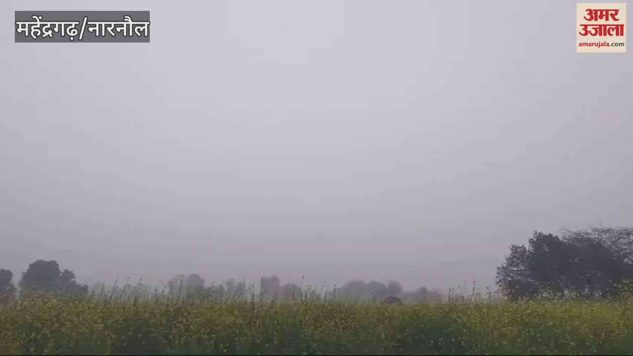 VIDEO : weather will remain variable in first fortnight of February in Mahendragarh