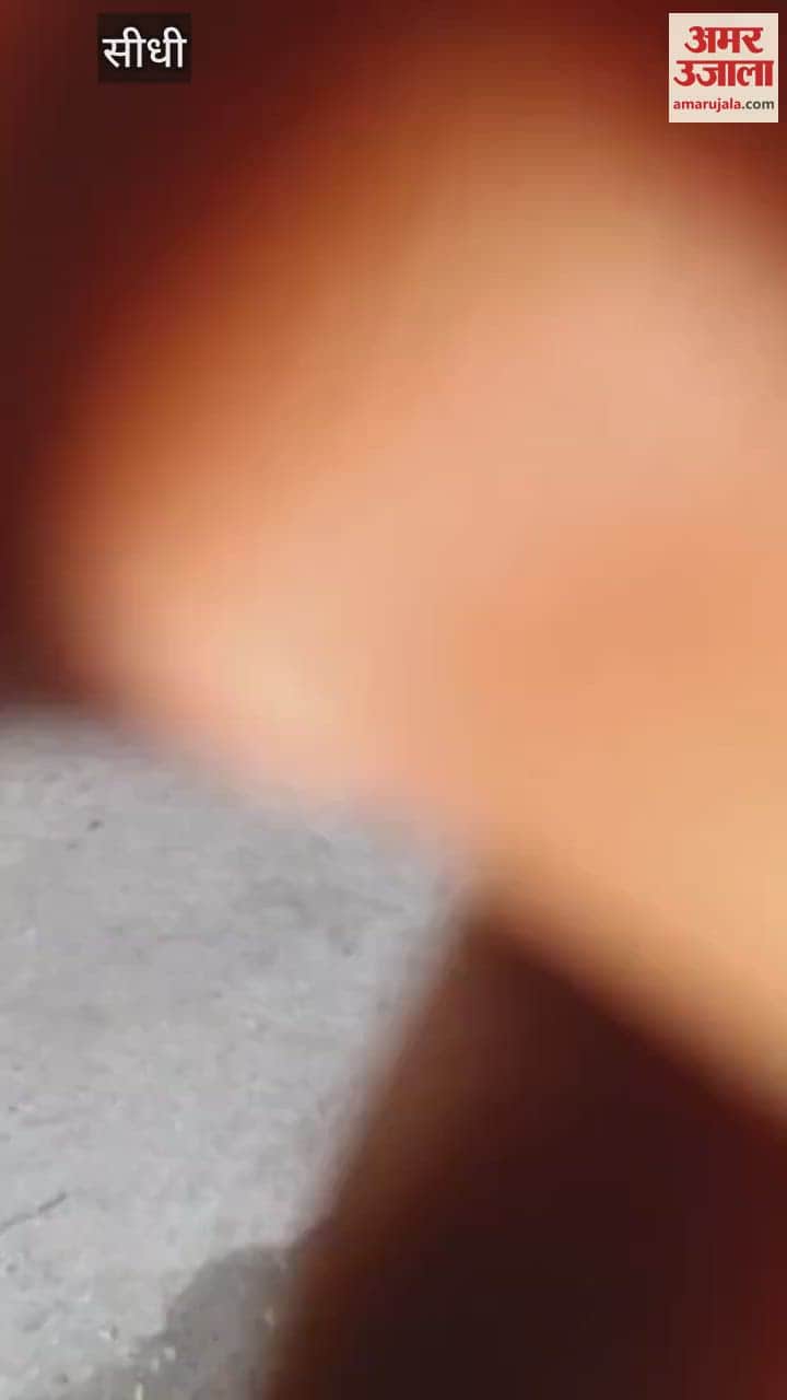 An attempt was made to create pressure by making the video viral, Churhat police station in-charge