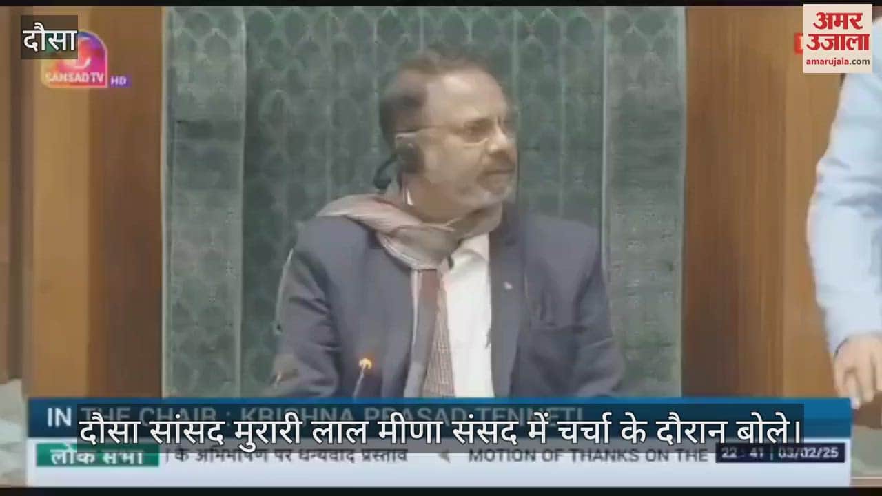 Dausa News: Dausa MP Murari Lal Meena raised these issues in Parliament