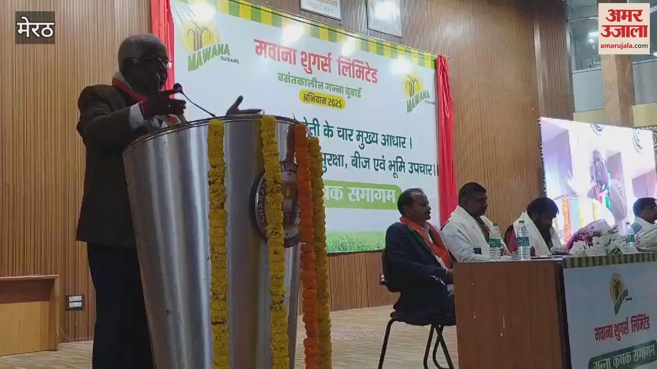 VIDEO : Meerut: Farmers will get huge benefit by growing new variety of sugarcane.