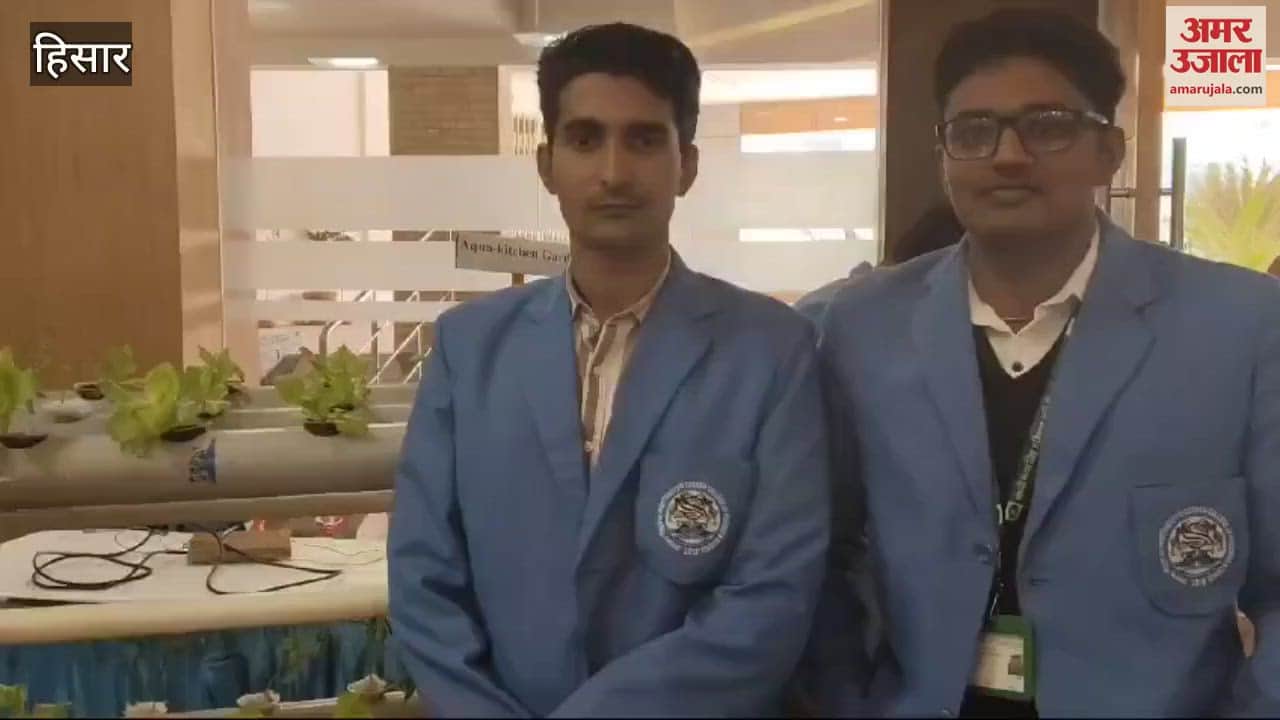 VIDEO : Vegetables will grow in the air, a unique model of soilless farming and fish farming has been prepared by a student of Hisar