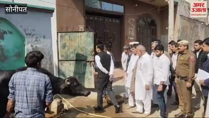 VIDEO : Deputy Commissioner reached to see the overflow pond in Sisana of Sonipat, women were found bathing buffaloes with a latch on submersible