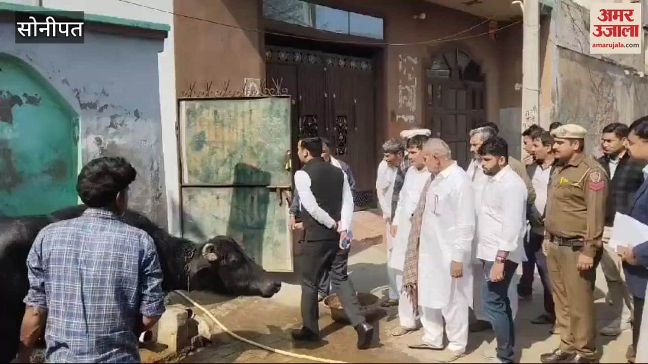 VIDEO : Deputy Commissioner reached to see the overflow pond in Sisana of Sonipat, women were found bathing buffaloes with a latch on submersible